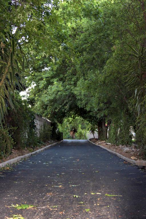 Vanilla Guesthouse Γιοχάνεσμπουργκ Εξωτερικό φωτογραφία